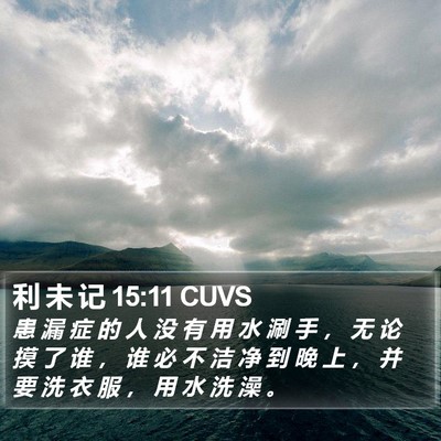 利 未 记 15:11 CUVS Bible Verse Image