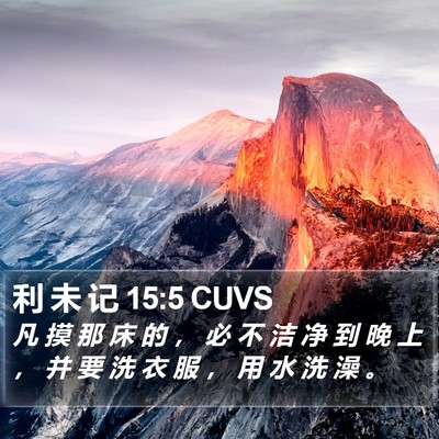 利 未 记 15:5 CUVS Bible Verse Image