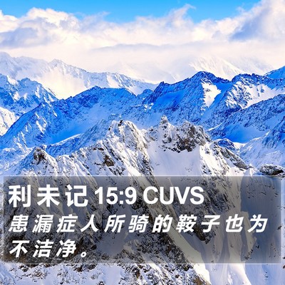 利 未 记 15:9 CUVS Bible Verse Image
