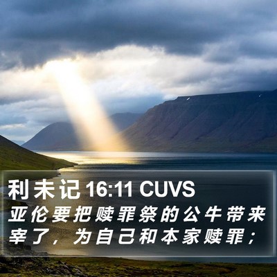 利 未 记 16:11 CUVS Bible Verse Image