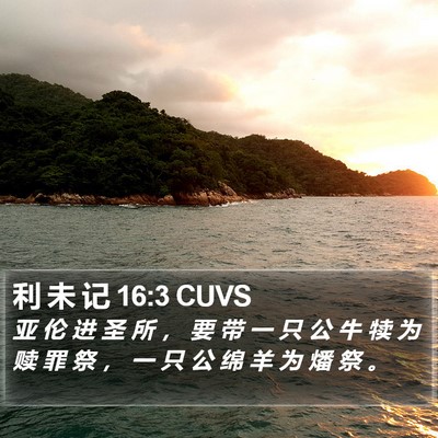 利 未 记 16:3 CUVS Bible Verse Image