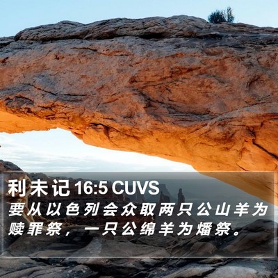 利 未 记 16:5 CUVS Bible Verse Image