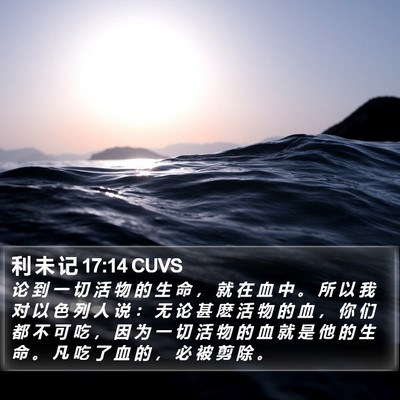 利 未 记 17:14 CUVS Bible Verse Image