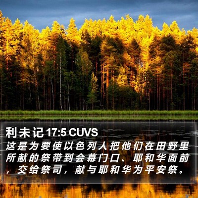 利 未 记 17:5 CUVS Bible Verse Image
