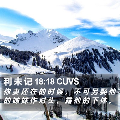 利 未 记 18:18 CUVS Bible Verse Image