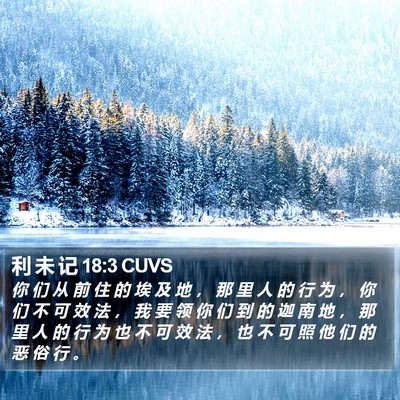 利 未 记 18:3 CUVS Bible Verse Image