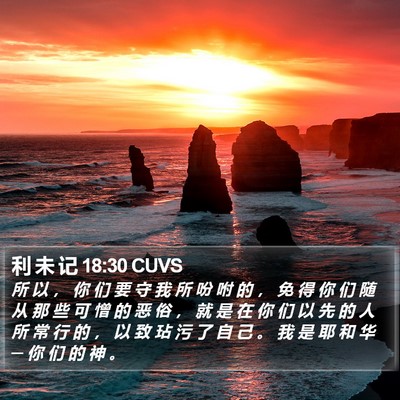 利 未 记 18:30 CUVS Bible Verse Image