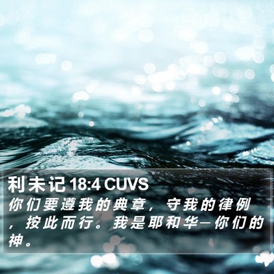 利 未 记 18:4 CUVS Bible Verse Image