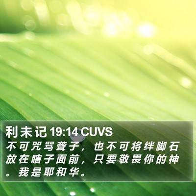 利 未 记 19:14 CUVS Bible Verse Image