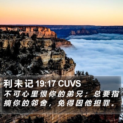 利 未 记 19:17 CUVS Bible Verse Image