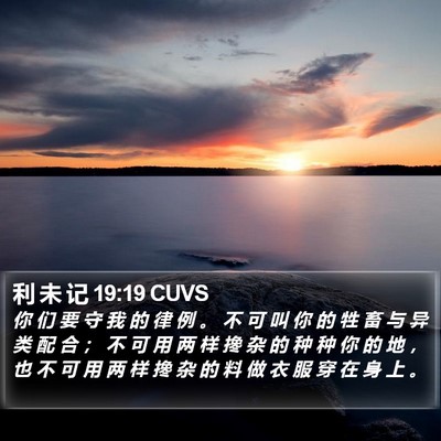 利 未 记 19:19 CUVS Bible Verse Image