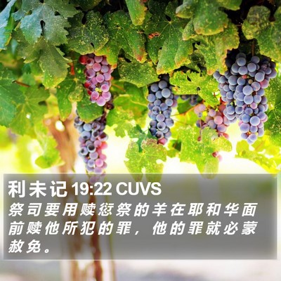 利 未 记 19:22 CUVS Bible Verse Image