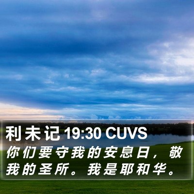 利 未 记 19:30 CUVS Bible Verse Image