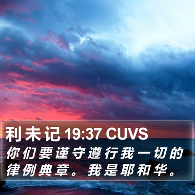利 未 记 19:37 CUVS Bible Verse Image