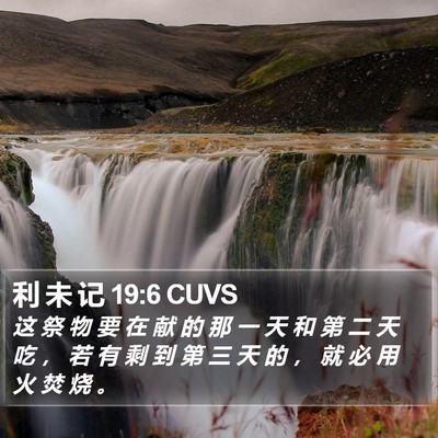 利 未 记 19:6 CUVS Bible Verse Image