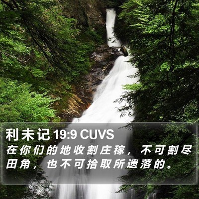 利 未 记 19:9 CUVS Bible Verse Image