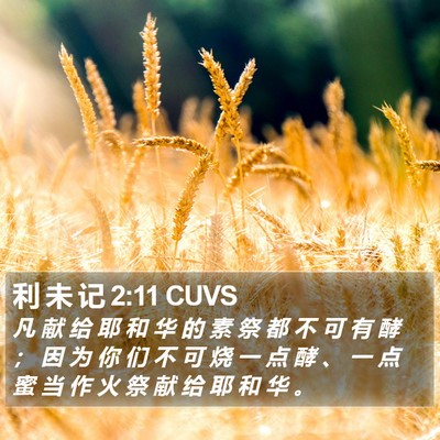 利 未 记 2:11 CUVS Bible Verse Image