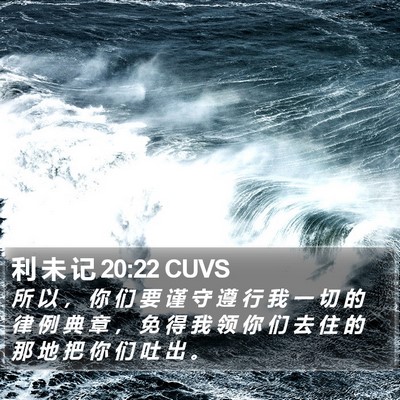 利 未 记 20:22 CUVS Bible Verse Image