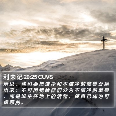 利 未 记 20:25 CUVS Bible Verse Image
