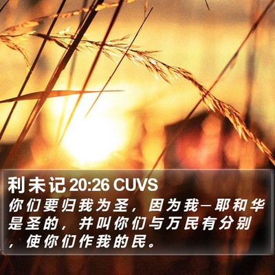 利 未 记 20:26 CUVS Bible Verse Image