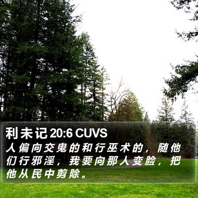 利 未 记 20:6 CUVS Bible Verse Image