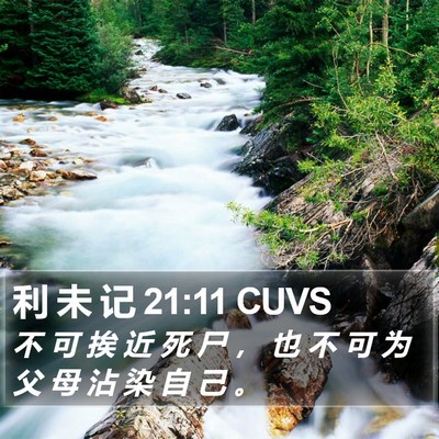 利 未 记 21:11 CUVS Bible Verse Image