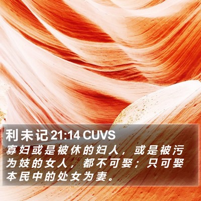 利 未 记 21:14 CUVS Bible Verse Image