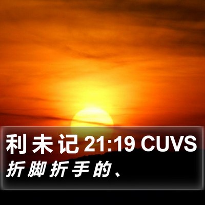 利 未 记 21:19 CUVS Bible Verse Image