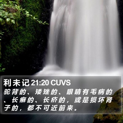 利 未 记 21:20 CUVS Bible Verse Image
