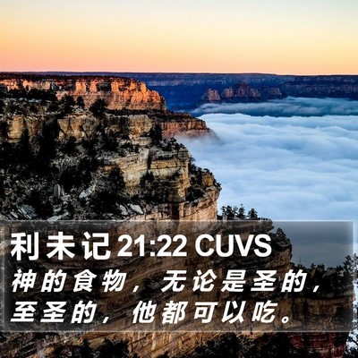 利 未 记 21:22 CUVS Bible Verse Image