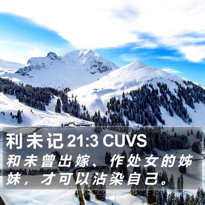 利 未 记 21:3 CUVS Bible Verse Image