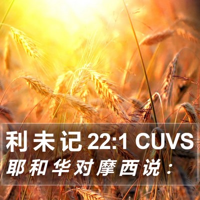 利 未 记 22:1 CUVS Bible Verse Image
