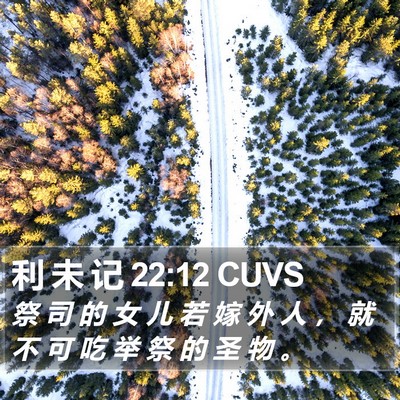 利 未 记 22:12 CUVS Bible Verse Image