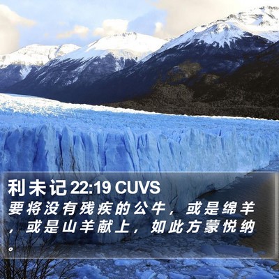 利 未 记 22:19 CUVS Bible Verse Image