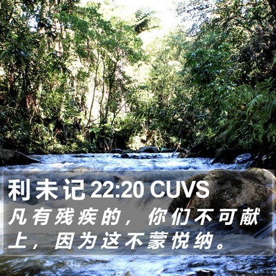 利 未 记 22:20 CUVS Bible Verse Image