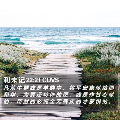 利 未 记 22:21 CUVS Bible Verse Image