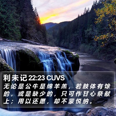 利 未 记 22:23 CUVS Bible Verse Image
