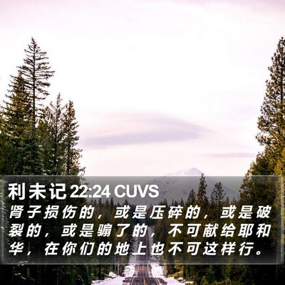 利 未 记 22:24 CUVS Bible Verse Image