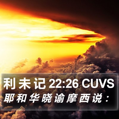 利 未 记 22:26 CUVS Bible Verse Image