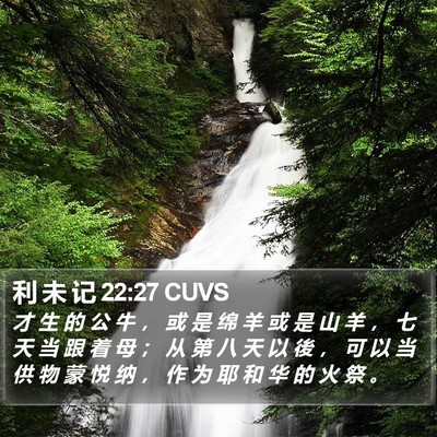 利 未 记 22:27 CUVS Bible Verse Image
