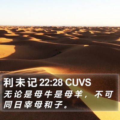 利 未 记 22:28 CUVS Bible Verse Image
