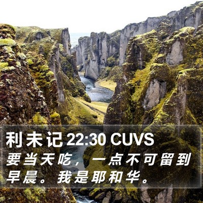 利 未 记 22:30 CUVS Bible Verse Image