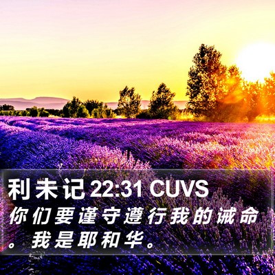 利 未 记 22:31 CUVS Bible Verse Image