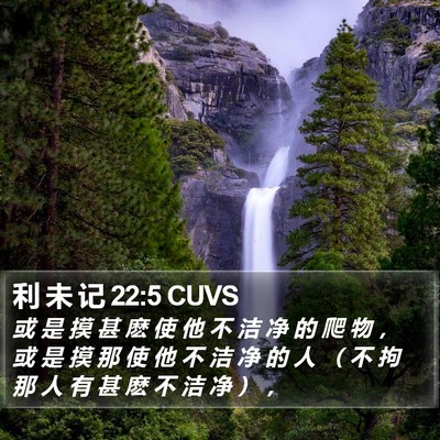 利 未 记 22:5 CUVS Bible Verse Image