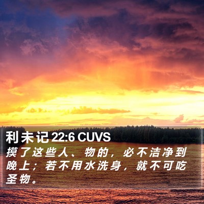 利 未 记 22:6 CUVS Bible Verse Image