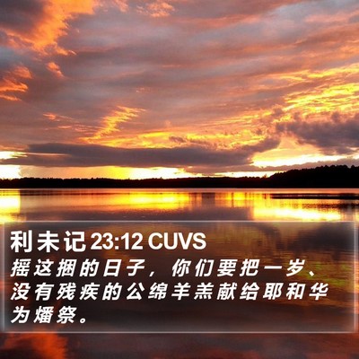 利 未 记 23:12 CUVS Bible Verse Image