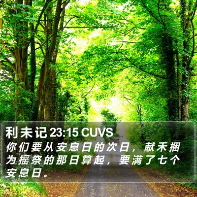 利 未 记 23:15 CUVS Bible Verse Image