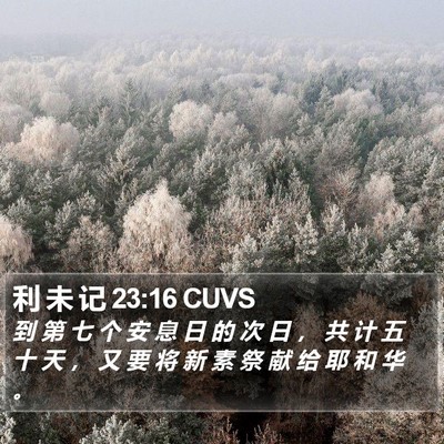 利 未 记 23:16 CUVS Bible Verse Image