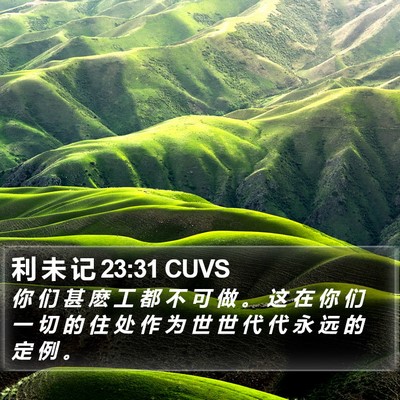 利 未 记 23:31 CUVS Bible Verse Image