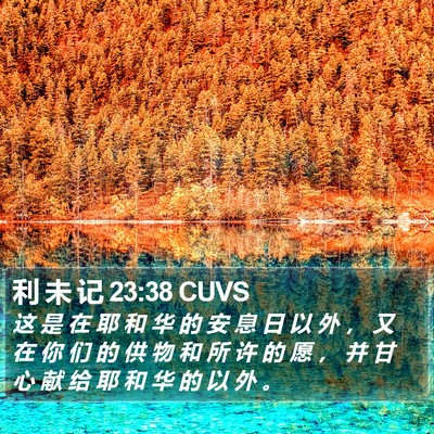 利 未 记 23:38 CUVS Bible Verse Image